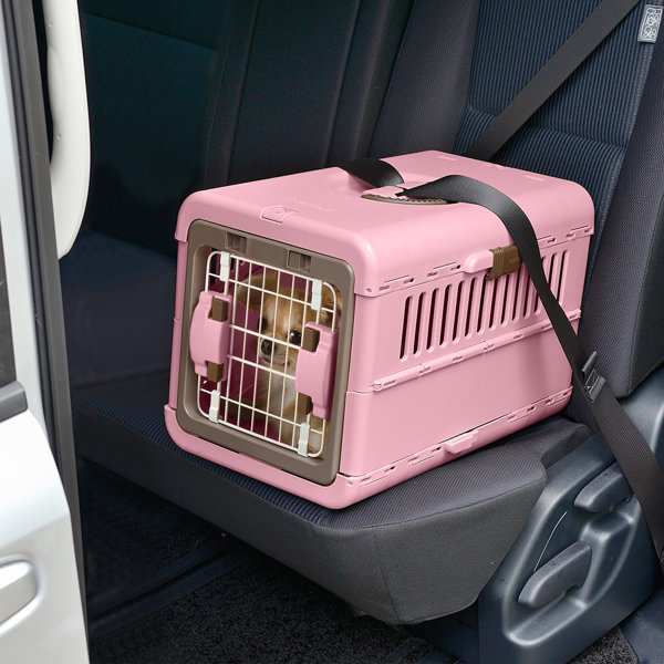 Richell Plastic Pet Carrier with 1 Door & Reviews Wayfair
